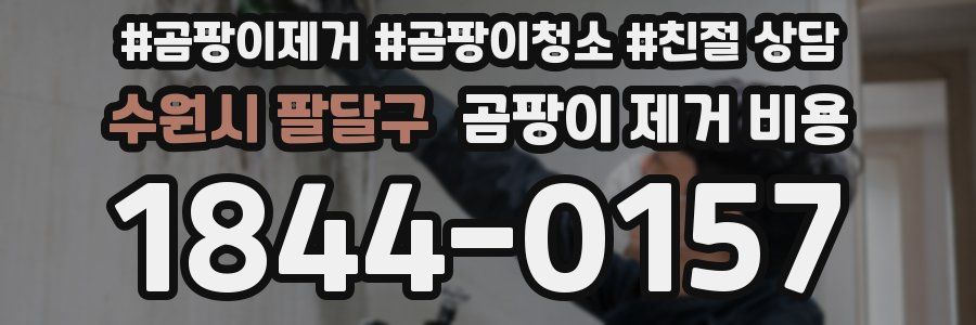 수원시 팔달구 곰팡이 제거 비용
