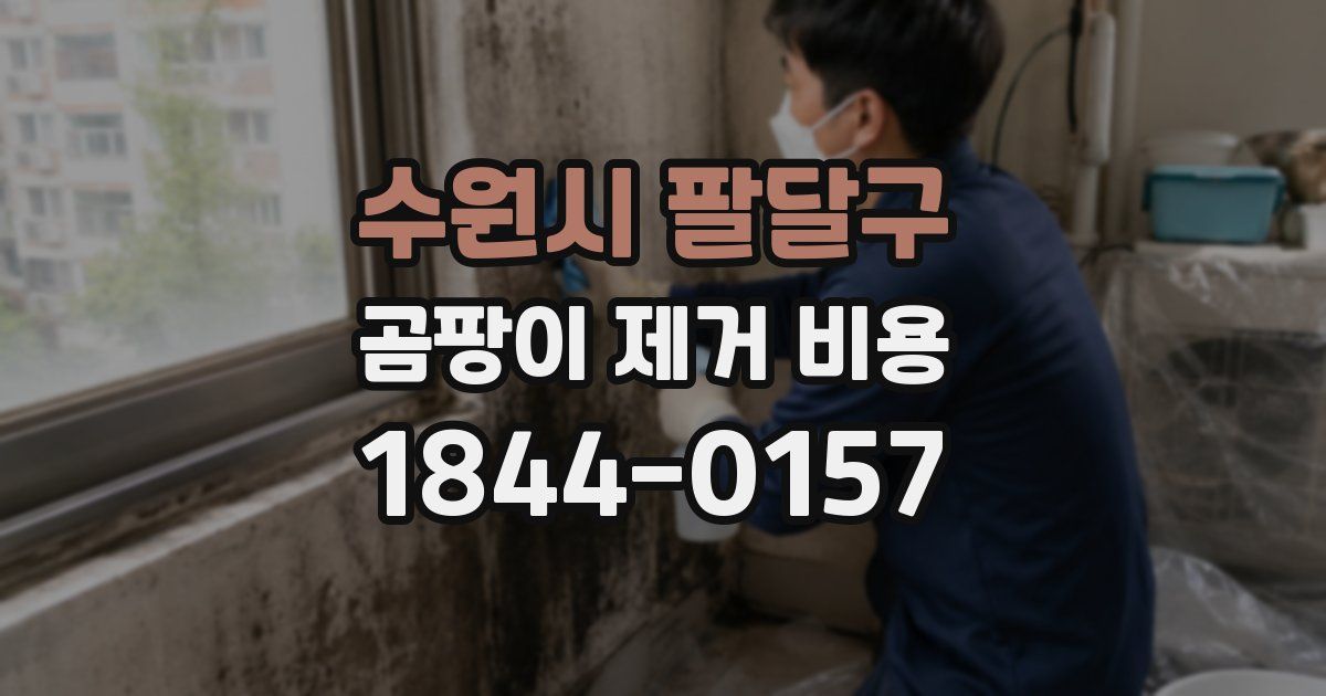 수원시 팔달구 곰팡이 제거 비용