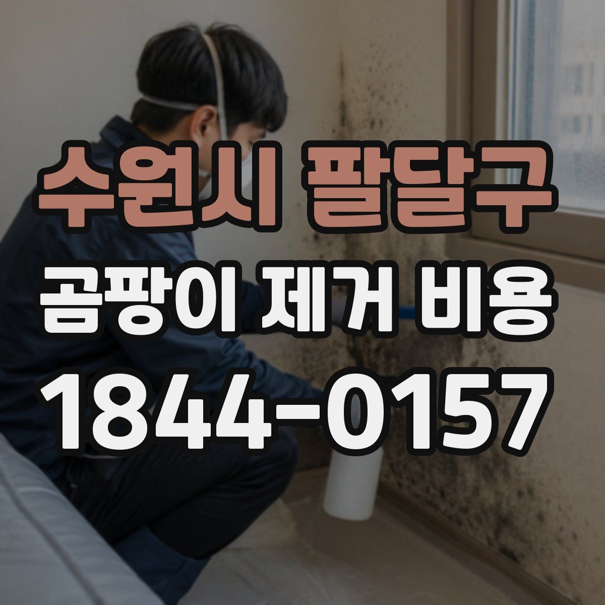수원시 팔달구 곰팡이 제거 비용
