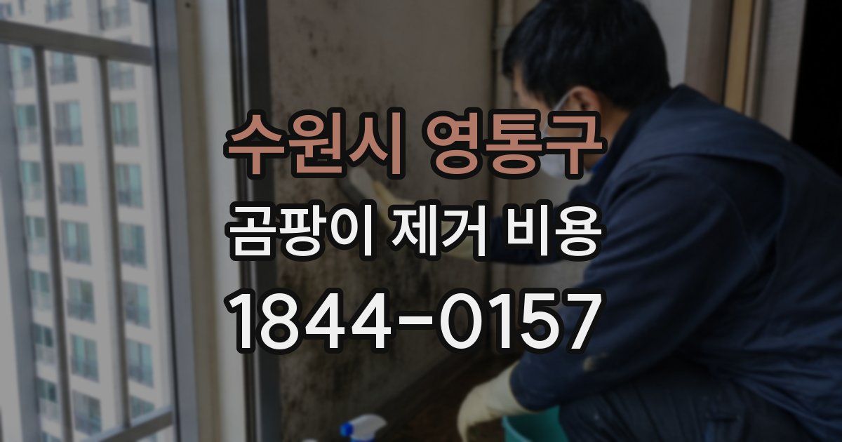 수원시 영통구 곰팡이 제거 비용