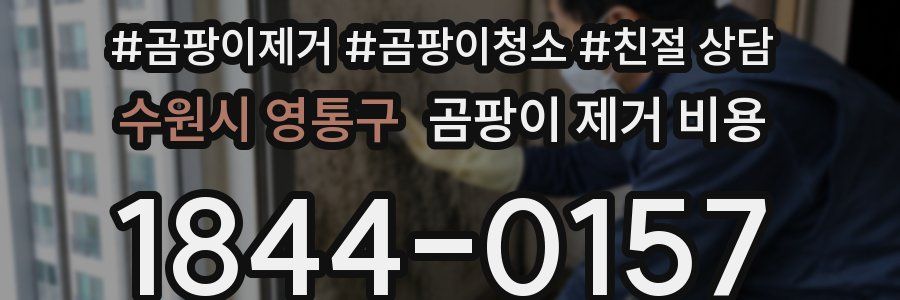 수원시 영통구 곰팡이 제거 비용