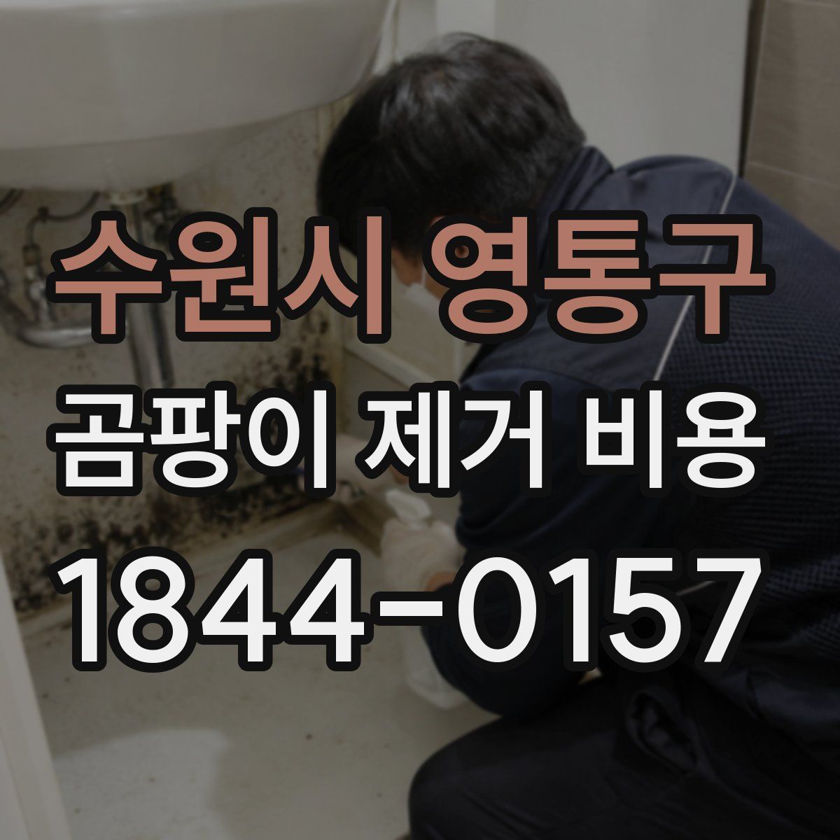 수원시 영통구 곰팡이 제거 비용