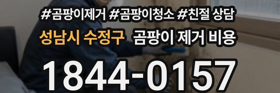성남시 수정구 곰팡이 제거 비용