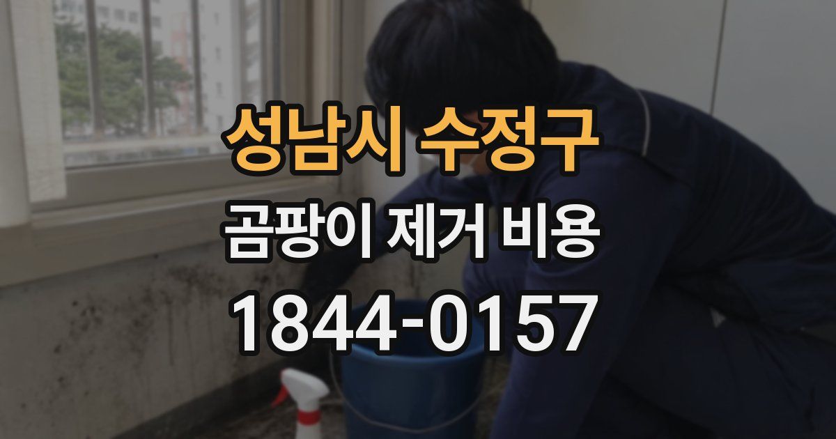 성남시 수정구 곰팡이 제거 비용