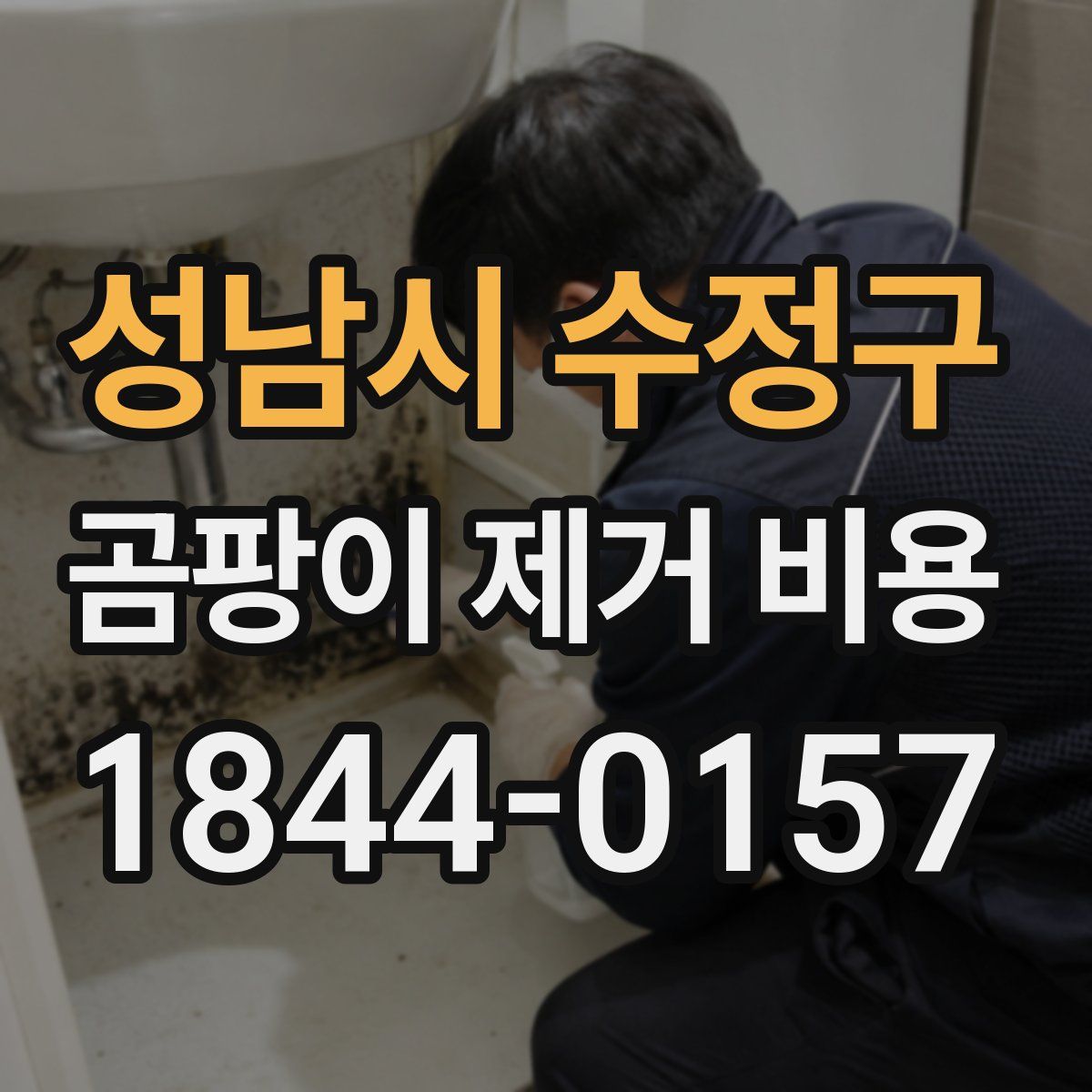 성남시 수정구 곰팡이 제거 비용