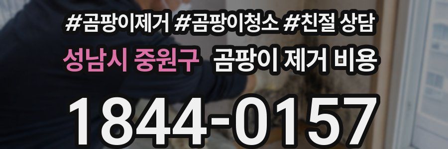 성남시 중원구 곰팡이 제거 비용