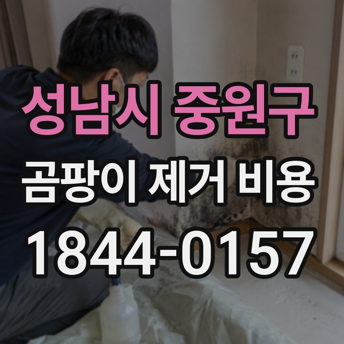 성남시 중원구 곰팡이 제거 비용