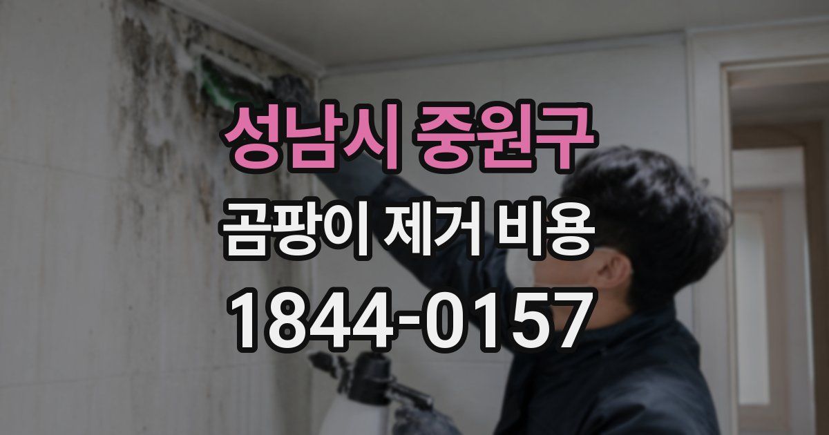 성남시 중원구 곰팡이 제거 비용