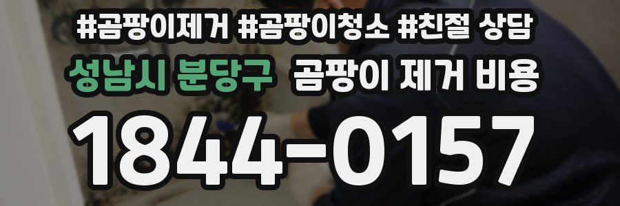 성남시 분당구 곰팡이 제거 비용