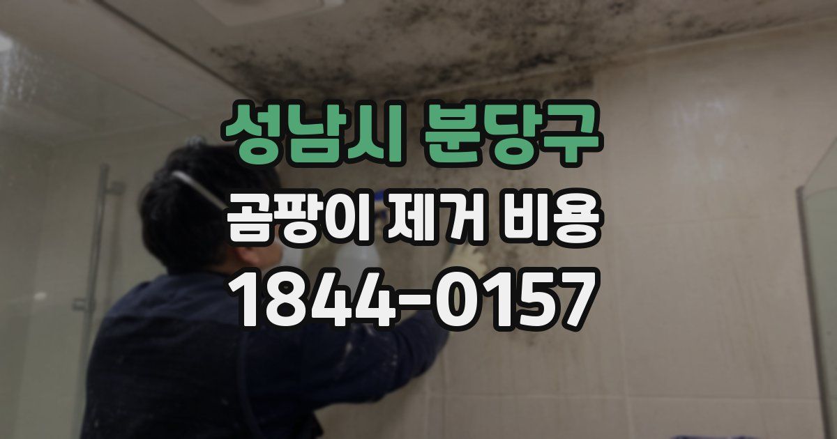 성남시 분당구 곰팡이 제거 비용