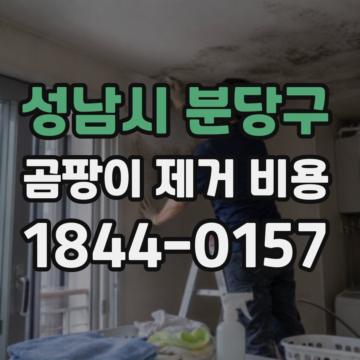 성남시 분당구 곰팡이 제거 비용