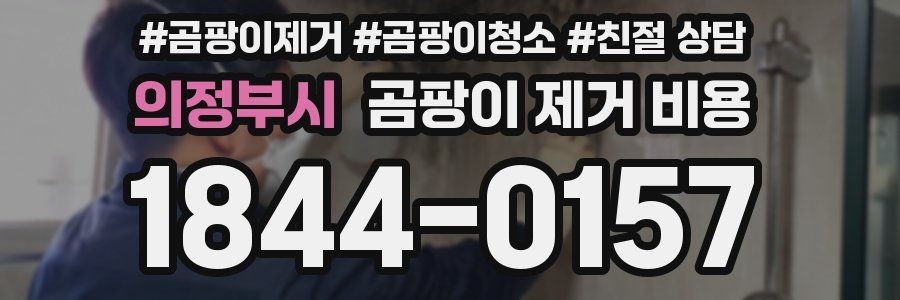 의정부시 곰팡이 제거 비용