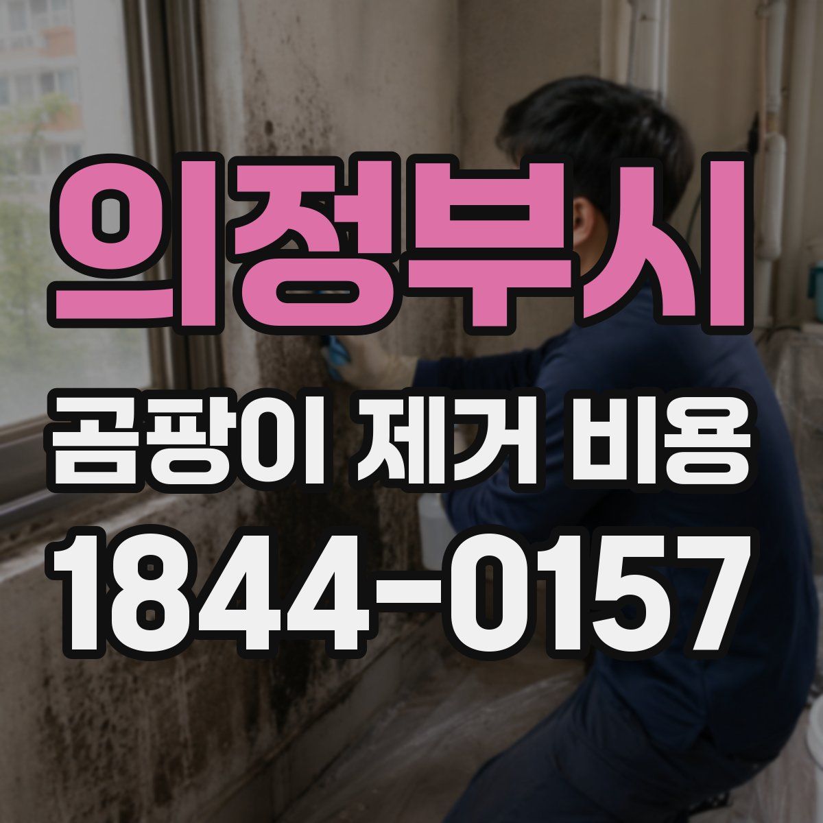 의정부시 곰팡이 제거 비용