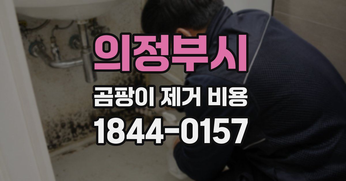 의정부시 곰팡이 제거 비용