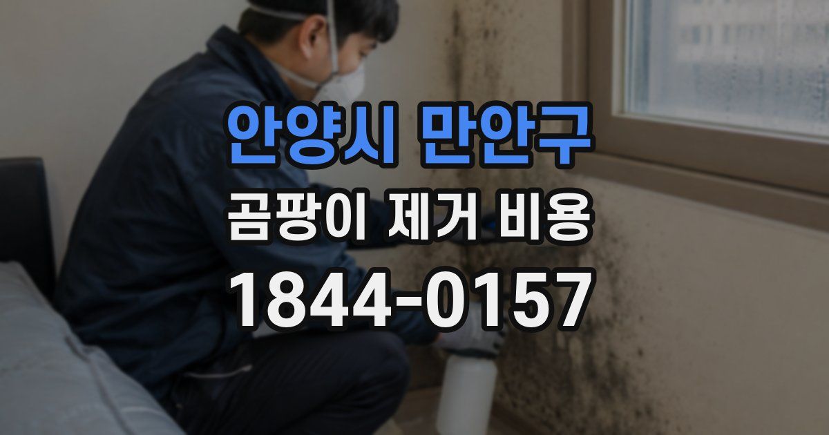 안양시 만안구 곰팡이 제거 비용