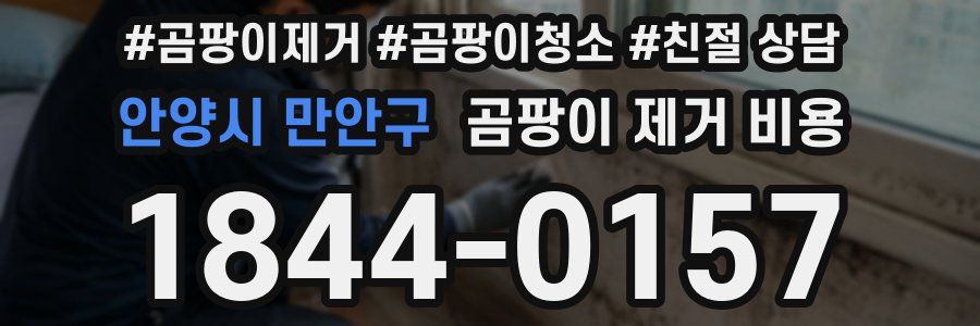 안양시 만안구 곰팡이 제거 비용