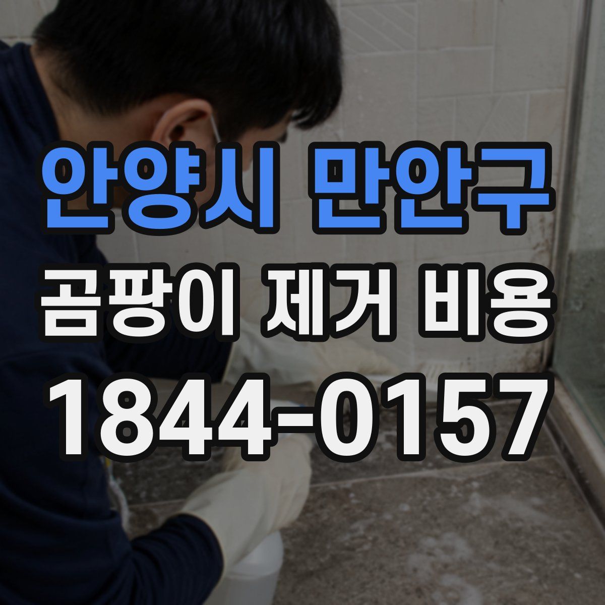 안양시 만안구 곰팡이 제거 비용