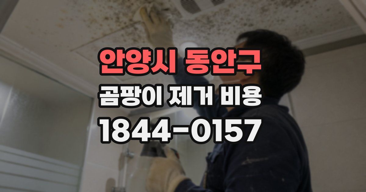 안양시 동안구 곰팡이 제거 비용
