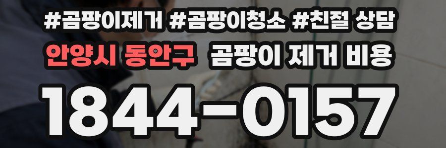 안양시 동안구 곰팡이 제거 비용
