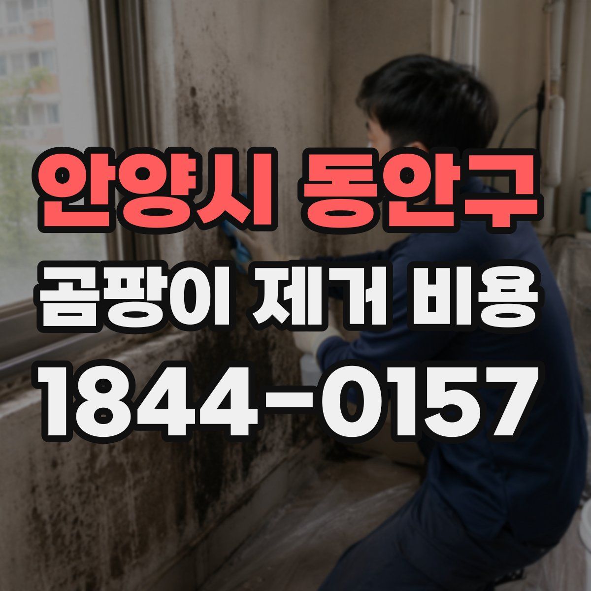 안양시 동안구 곰팡이 제거 비용
