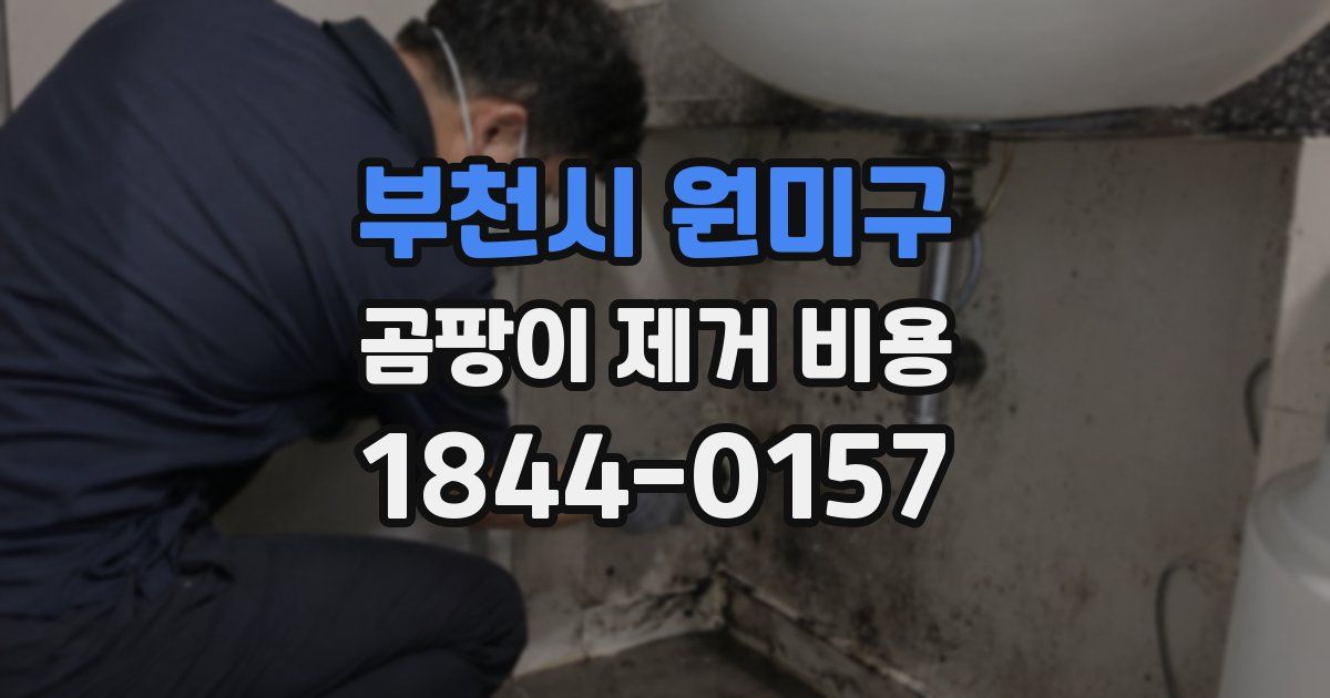 부천시 원미구 곰팡이 제거 비용