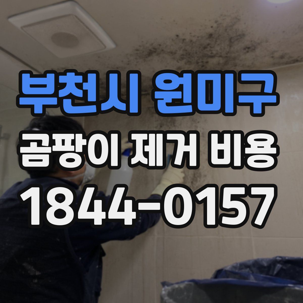 부천시 원미구 곰팡이 제거 비용