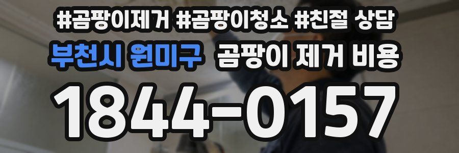 부천시 원미구 곰팡이 제거 비용