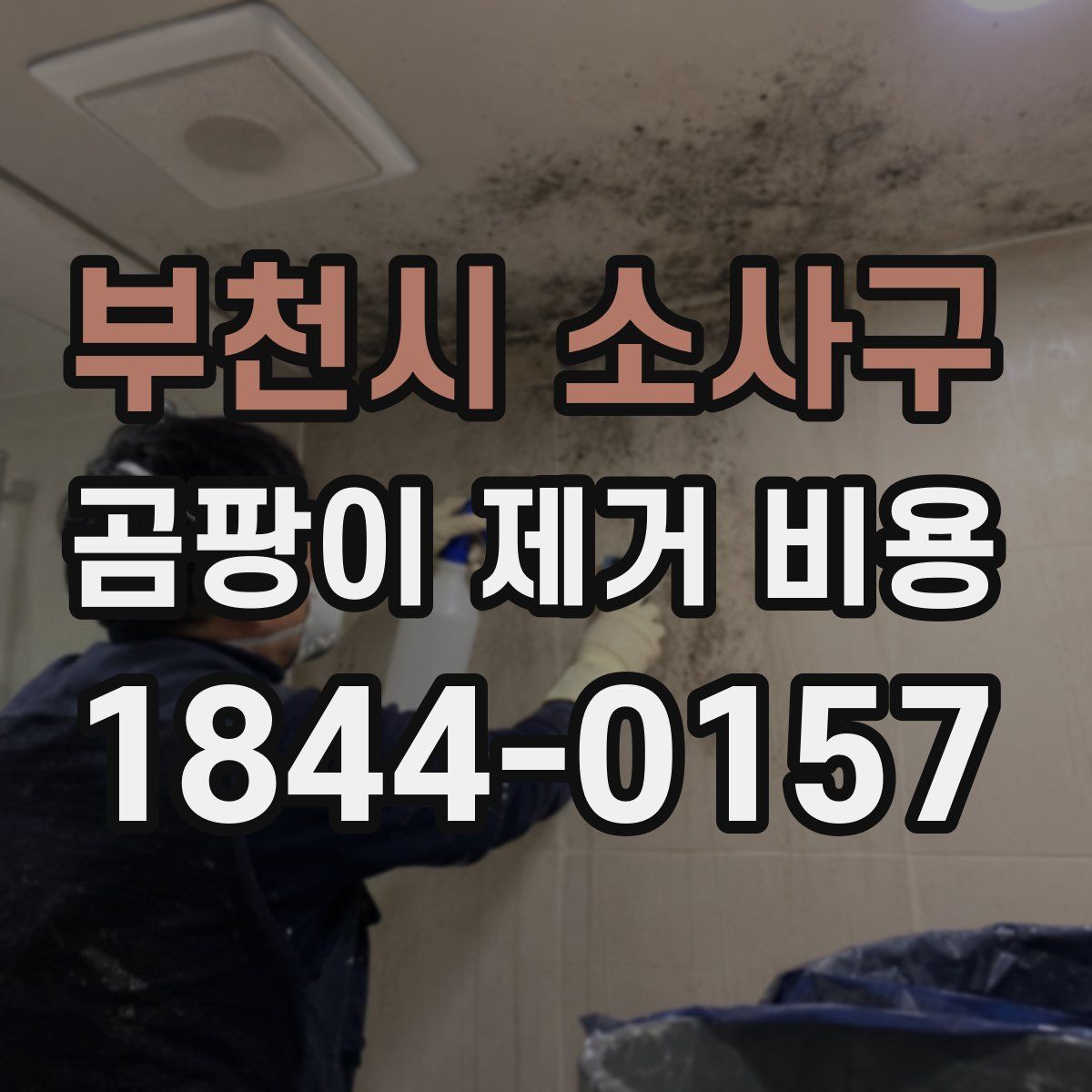 부천시 소사구 곰팡이 제거 비용