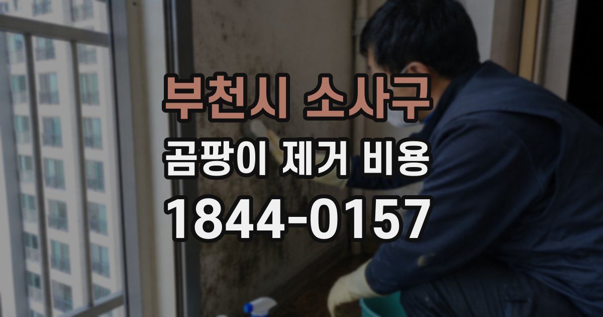 부천시 소사구 곰팡이 제거 비용