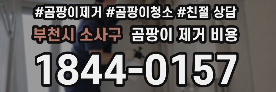 부천시 소사구 곰팡이 제거 비용