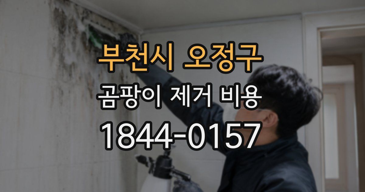 부천시 오정구 곰팡이 제거 비용
