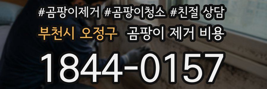 부천시 오정구 곰팡이 제거 비용