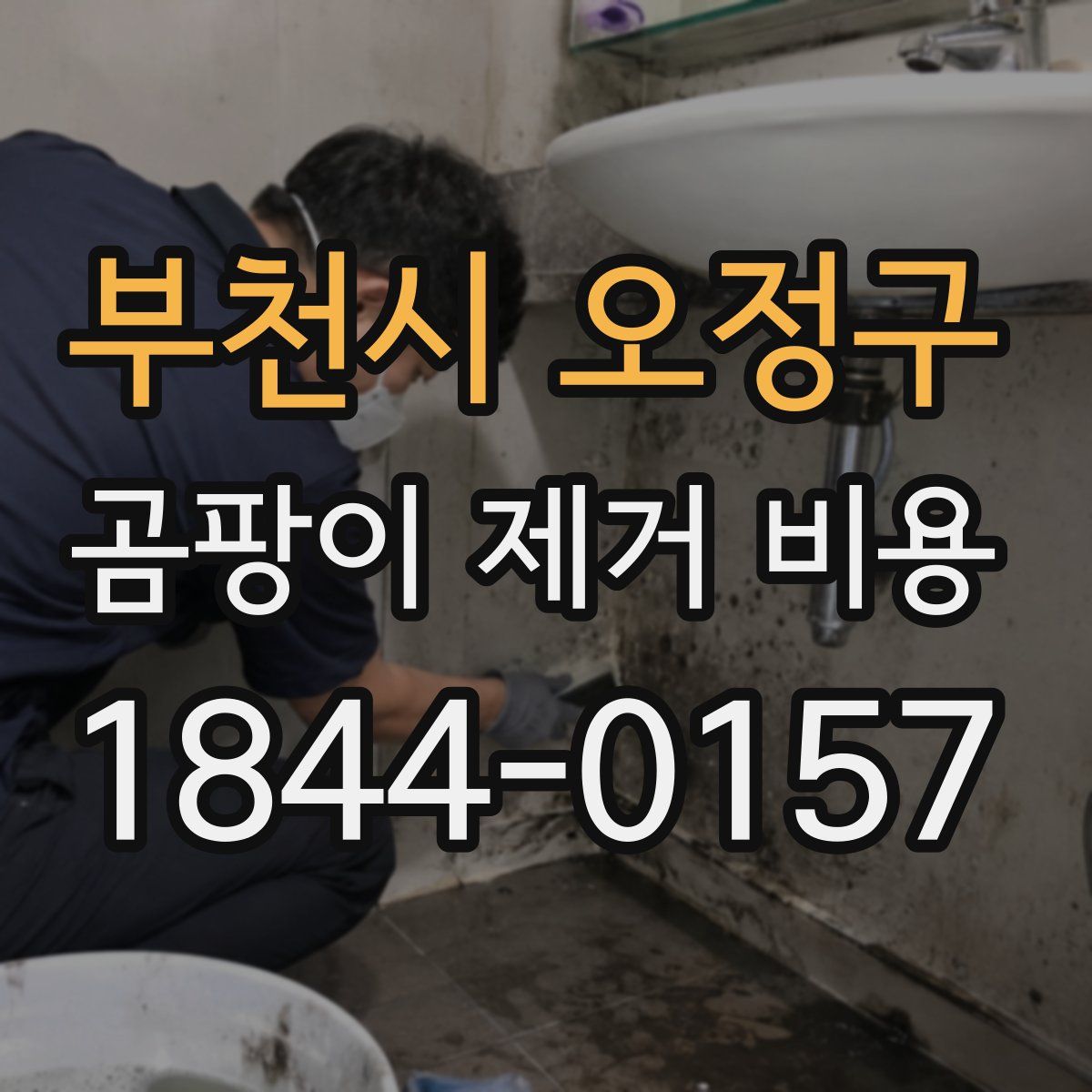 부천시 오정구 곰팡이 제거 비용