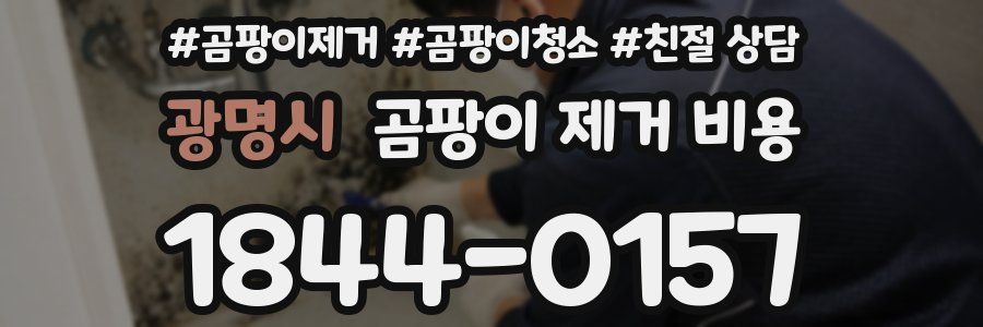 광명시 곰팡이 제거 비용
