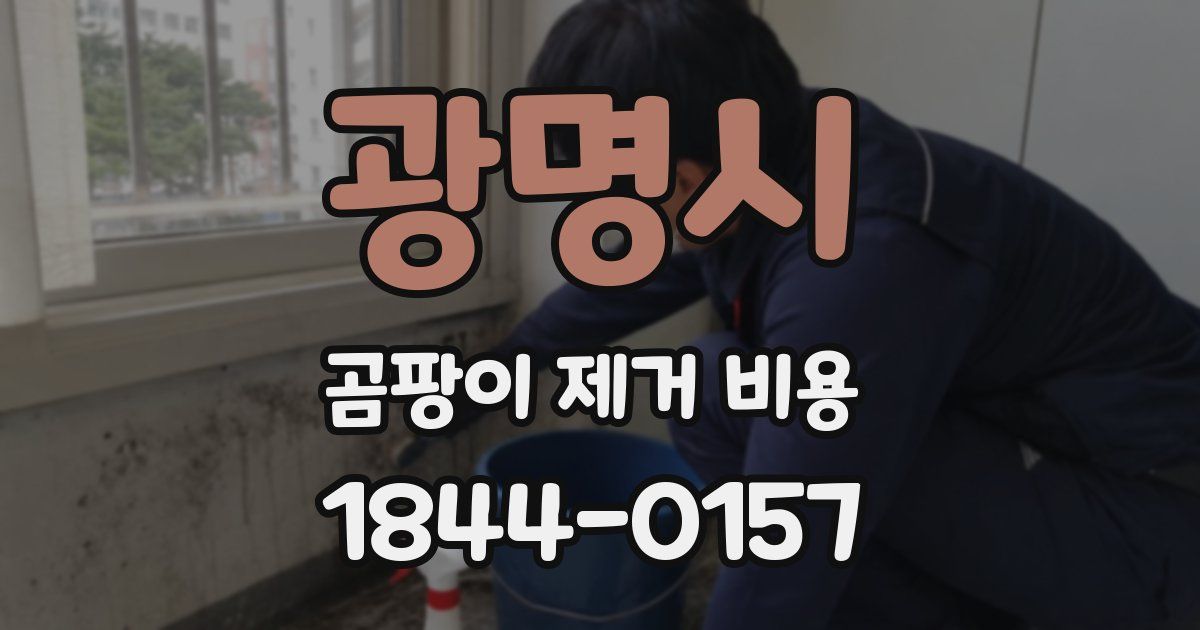 광명시 곰팡이 제거 비용