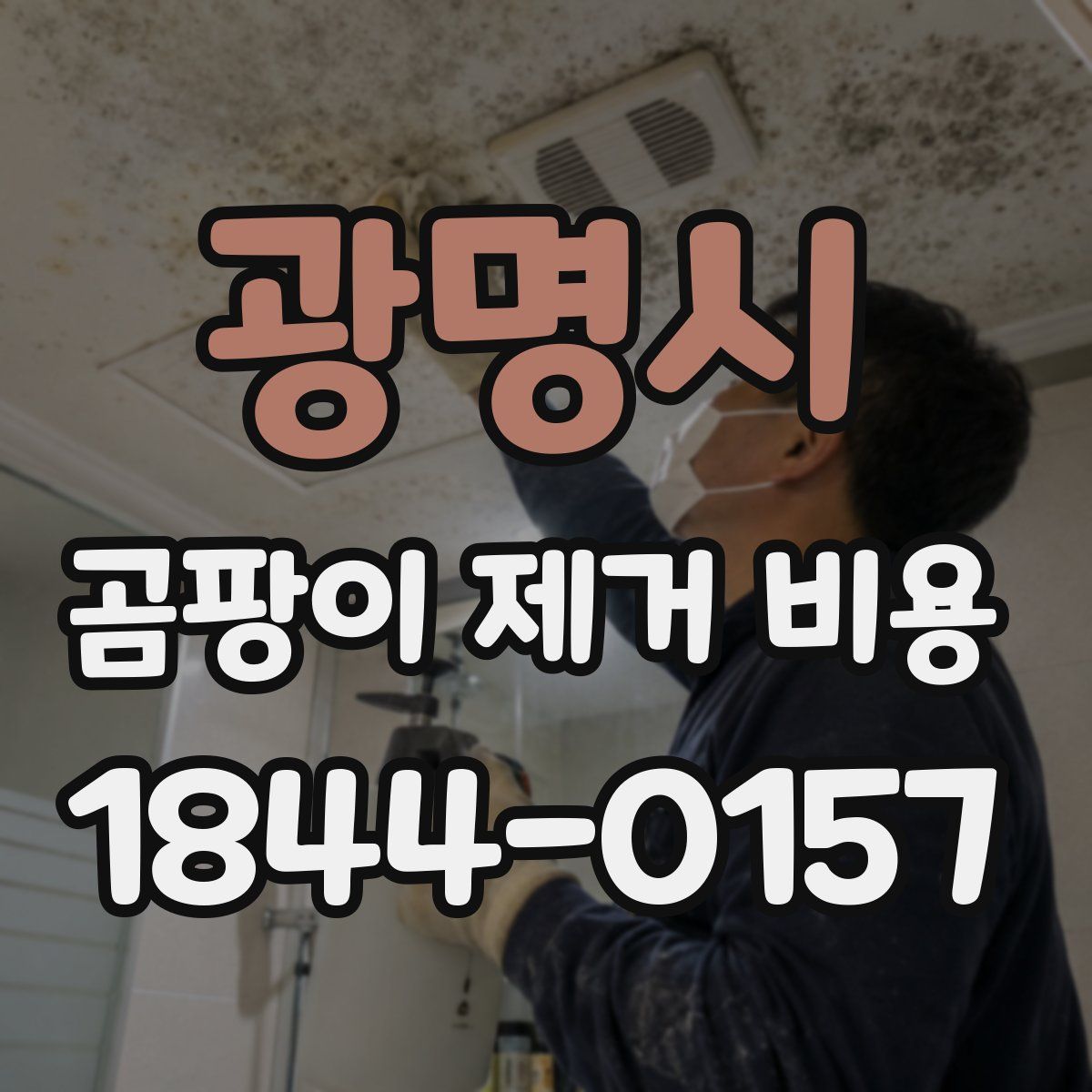 광명시 곰팡이 제거 비용