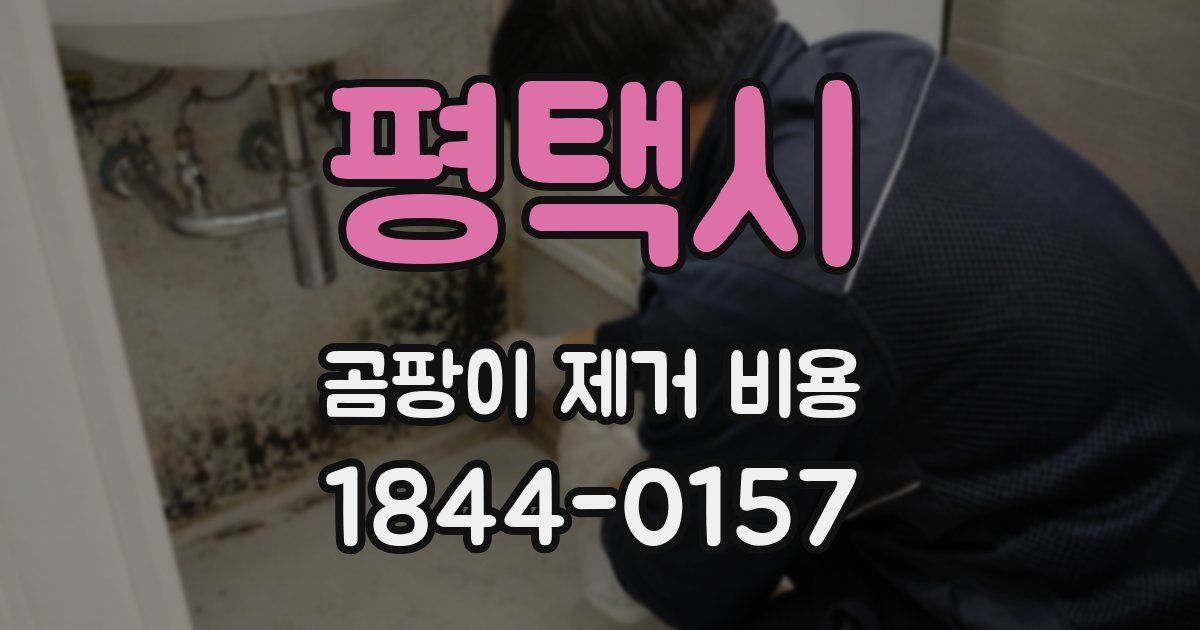 평택시 곰팡이 제거 비용