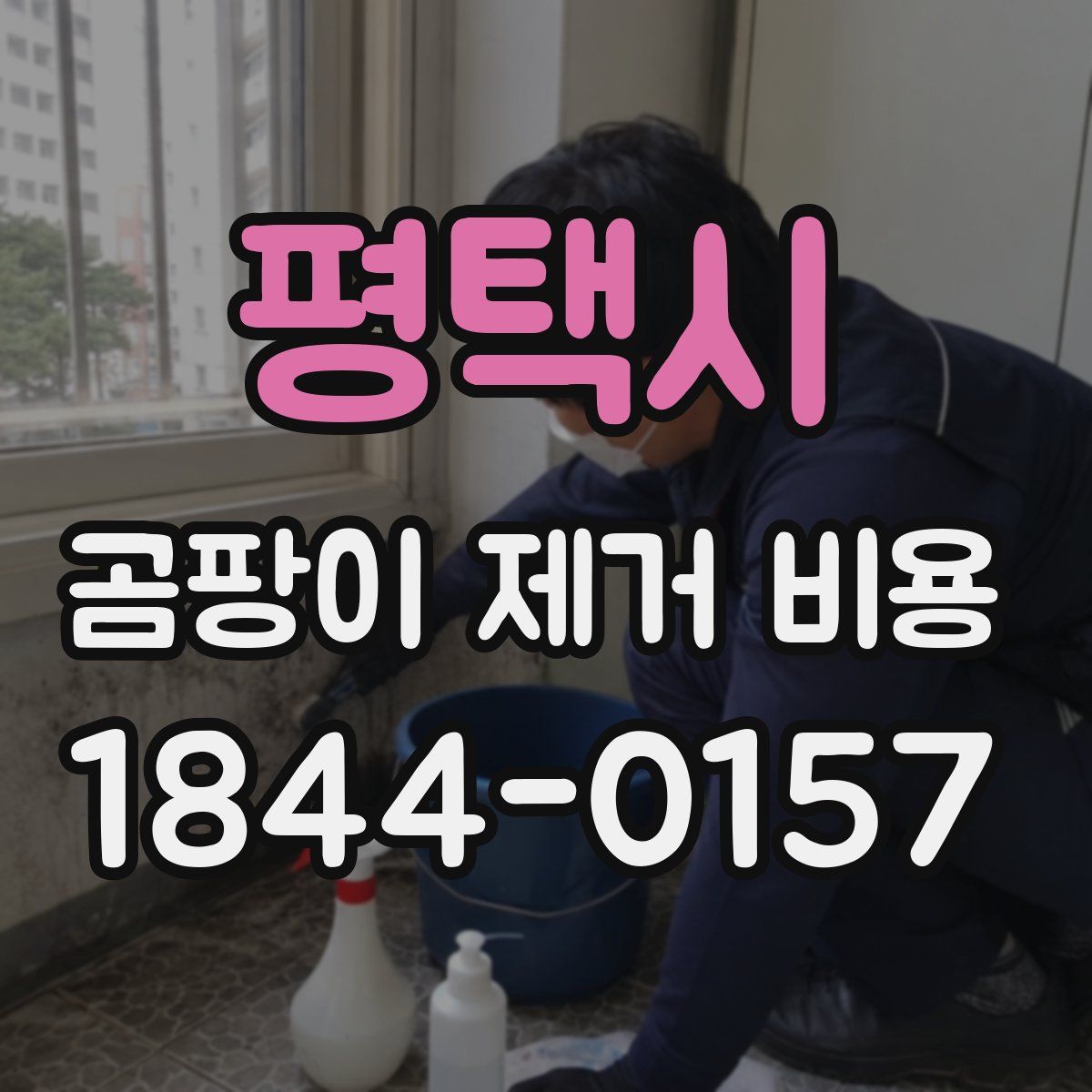 평택시 곰팡이 제거 비용