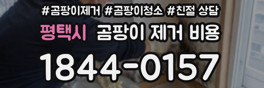 평택시 곰팡이 제거 비용