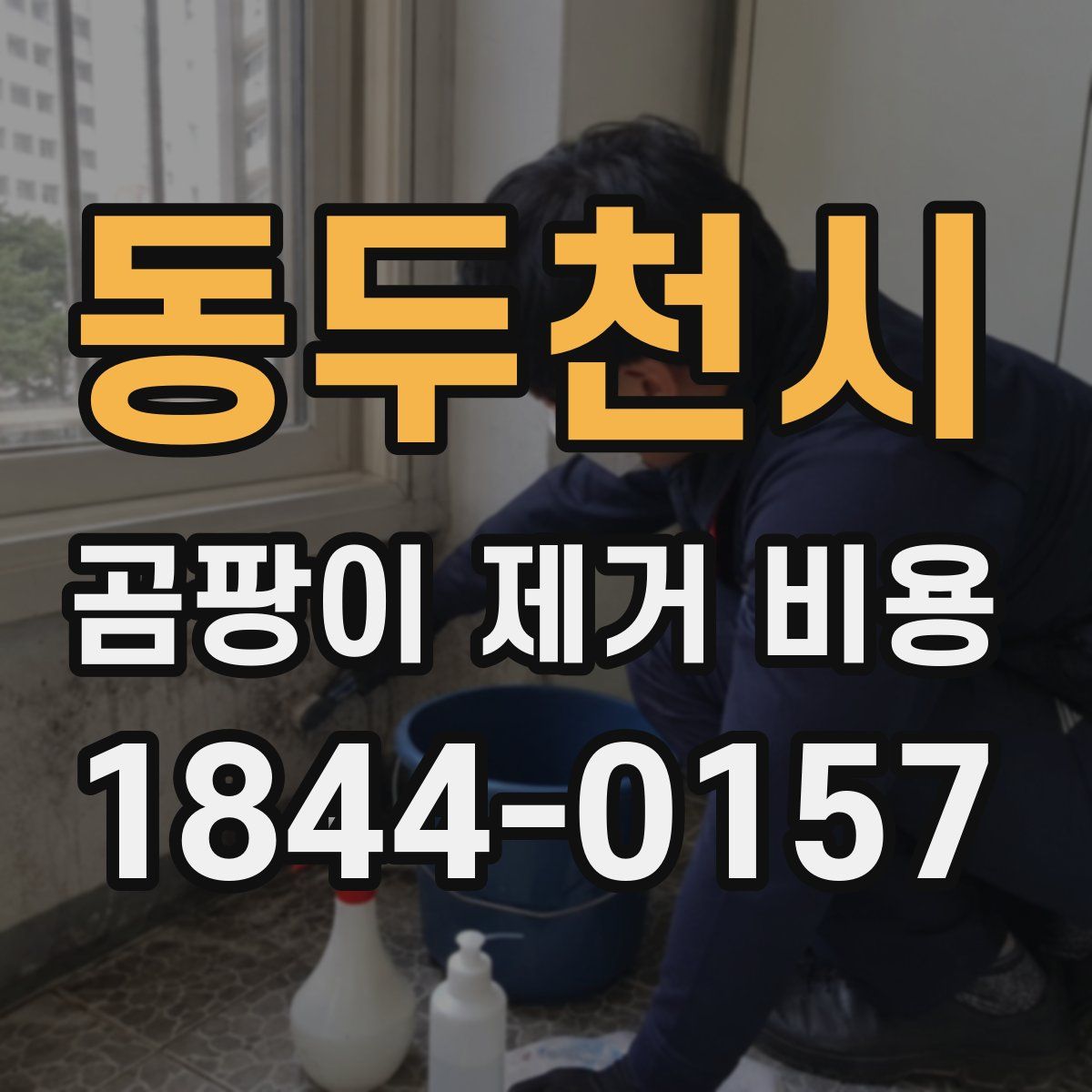 동두천시 곰팡이 제거 비용