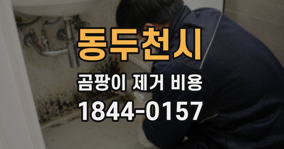 동두천시 곰팡이 제거 비용