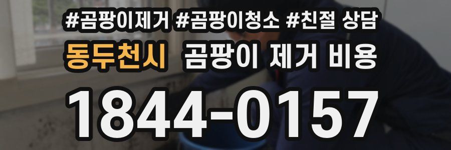 동두천시 곰팡이 제거 비용