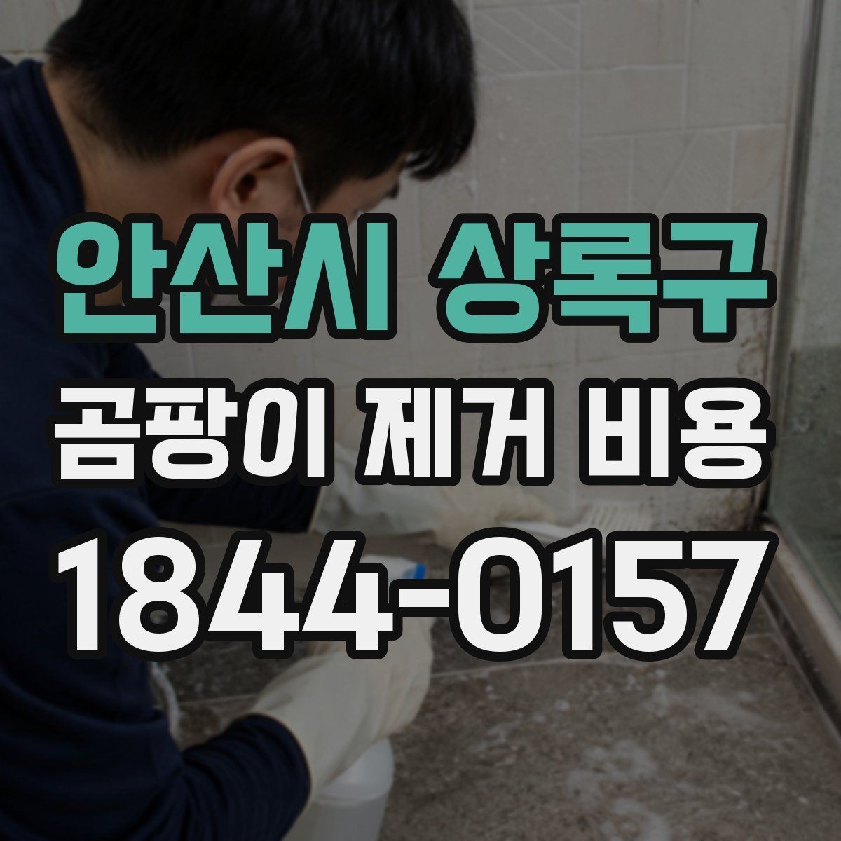 안산시 상록구 곰팡이 제거 비용 비교 시 서비스 범위 보는 법