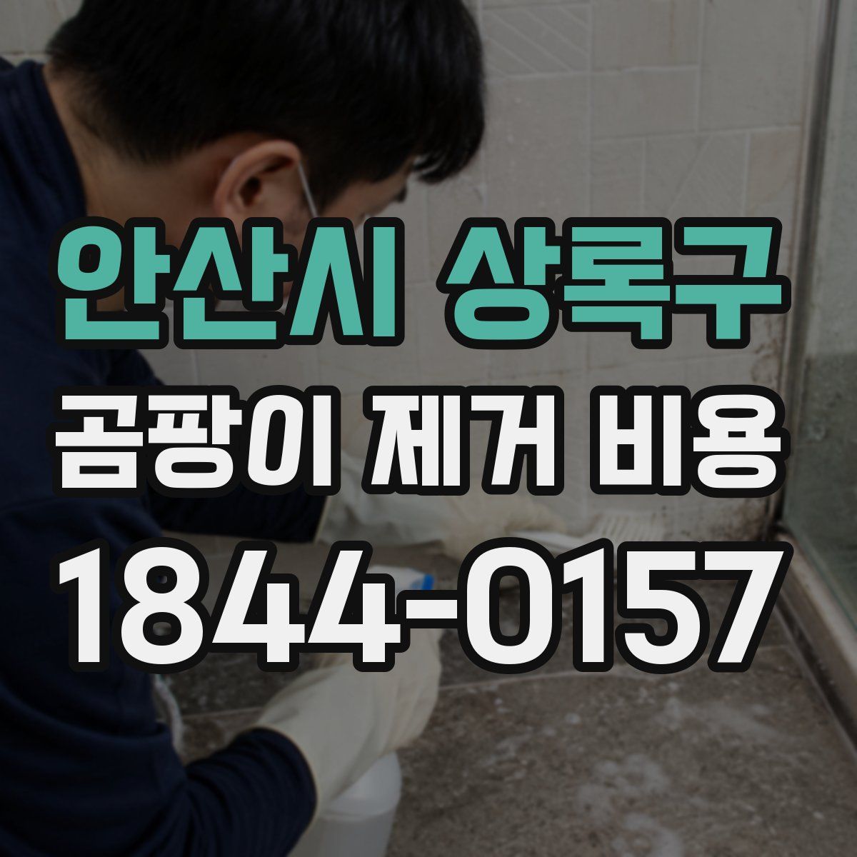안산시 상록구 곰팡이 제거 비용