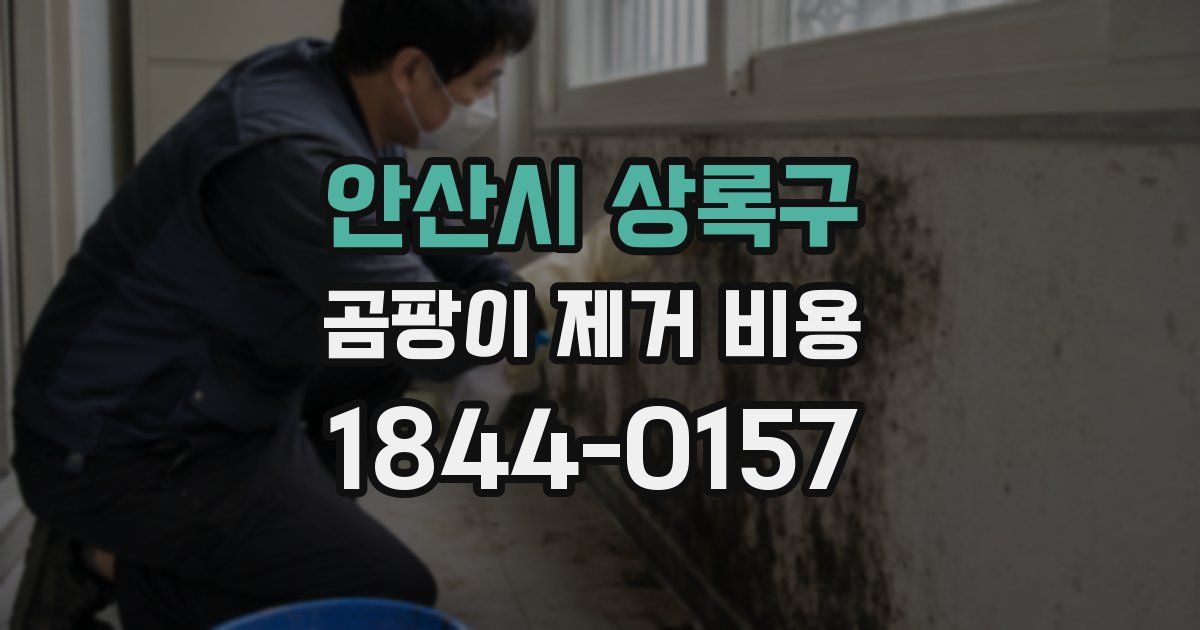 안산시 상록구 곰팡이 제거 비용
