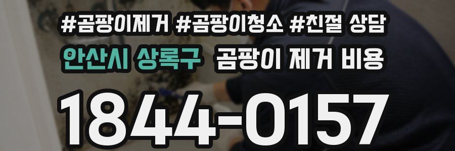 안산시 상록구 곰팡이 제거 비용