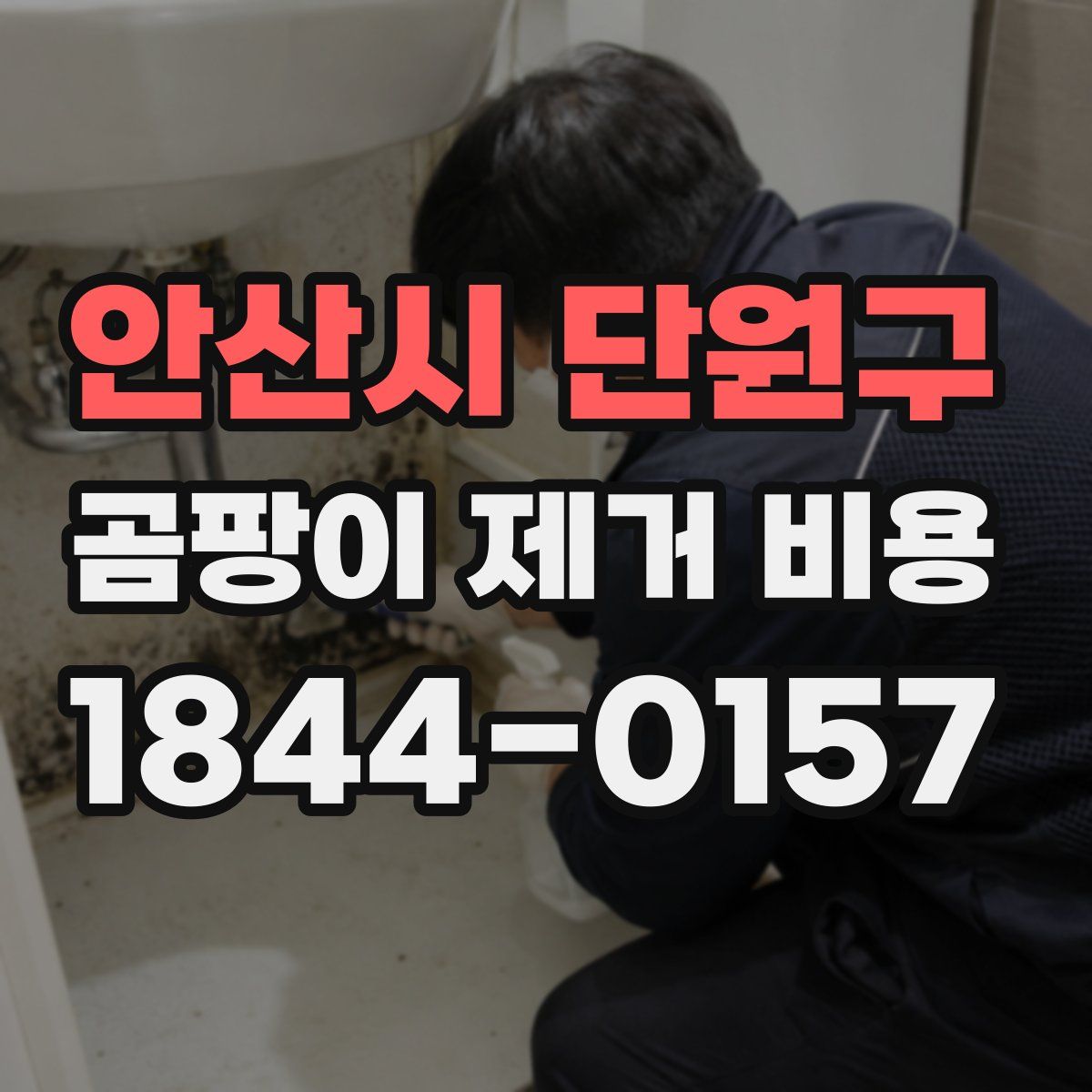 안산시 단원구 곰팡이 제거 비용