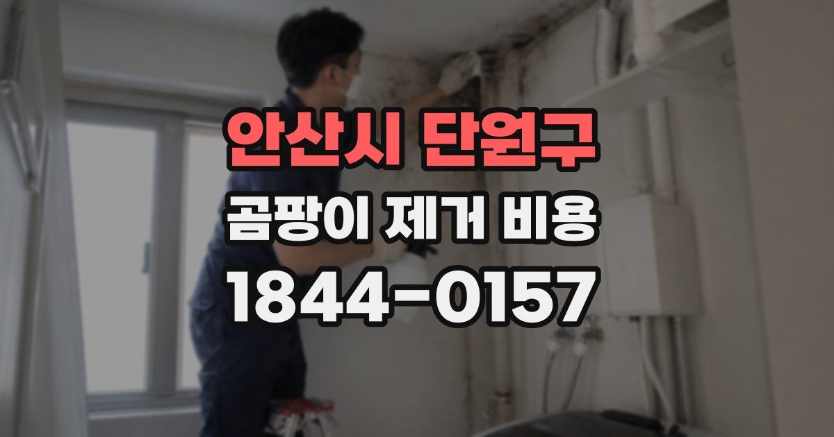 안산시 단원구 곰팡이 제거 비용