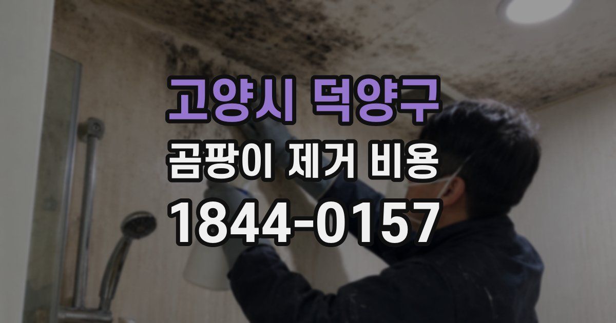 고양시 덕양구 곰팡이 제거 비용