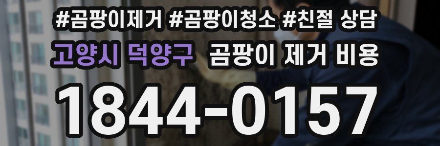 고양시 덕양구 곰팡이 제거 비용